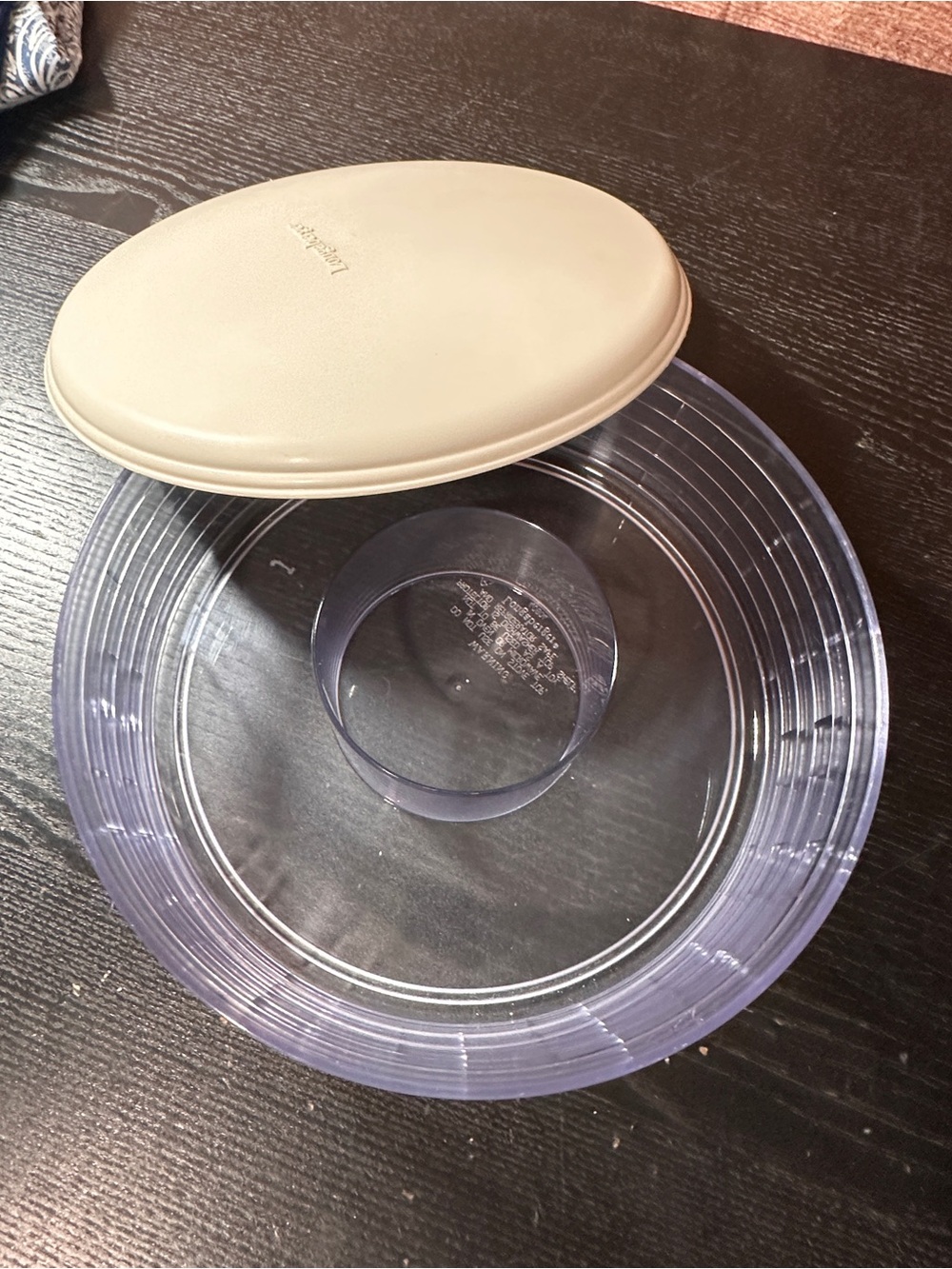 Longaberger Hard Plastic Chip & Dip Protector & Lid for 10" Round Serving Basket